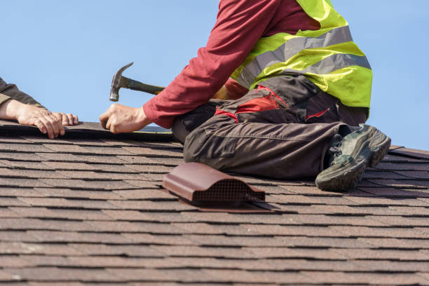 Best Shingle Roofing Installation  in Williamsport, PA