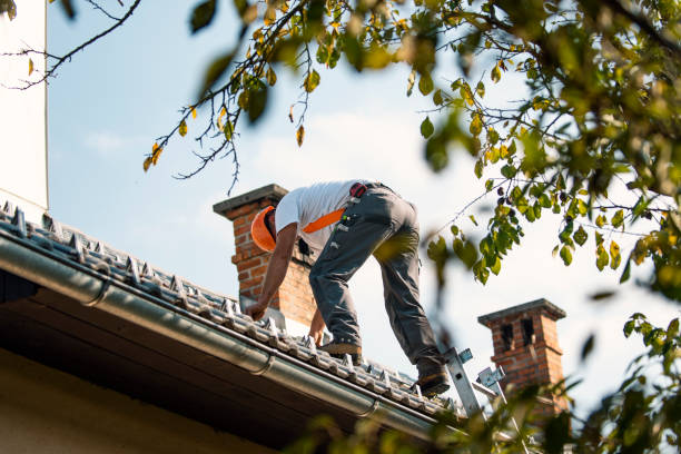 Best Residential Roofing Contractor  in Williamsport, PA