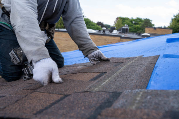 Best Flat Roof Repair Services  in Williamsport, PA
